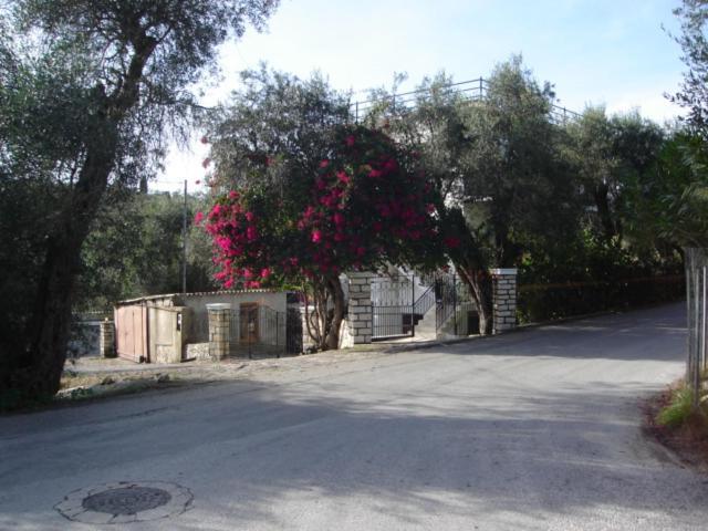 Natsios Athanasio Apts Aparthotel Vlachopoulatika Exterior foto